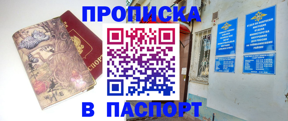 пропишу в квартире в Звенигороде